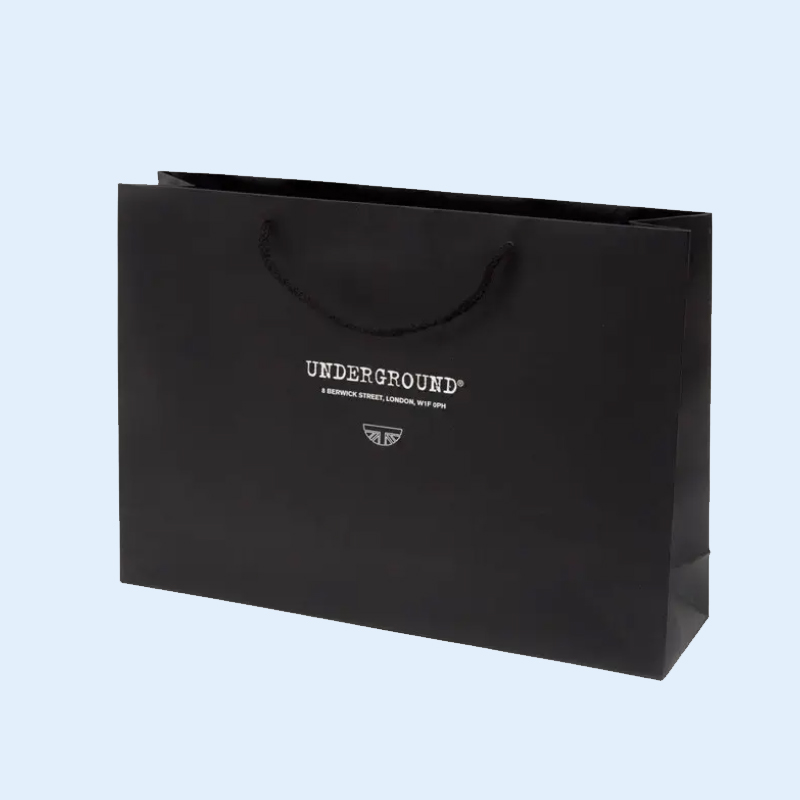 2026 Art Paper Shopping and Gift Bags with Ribbon