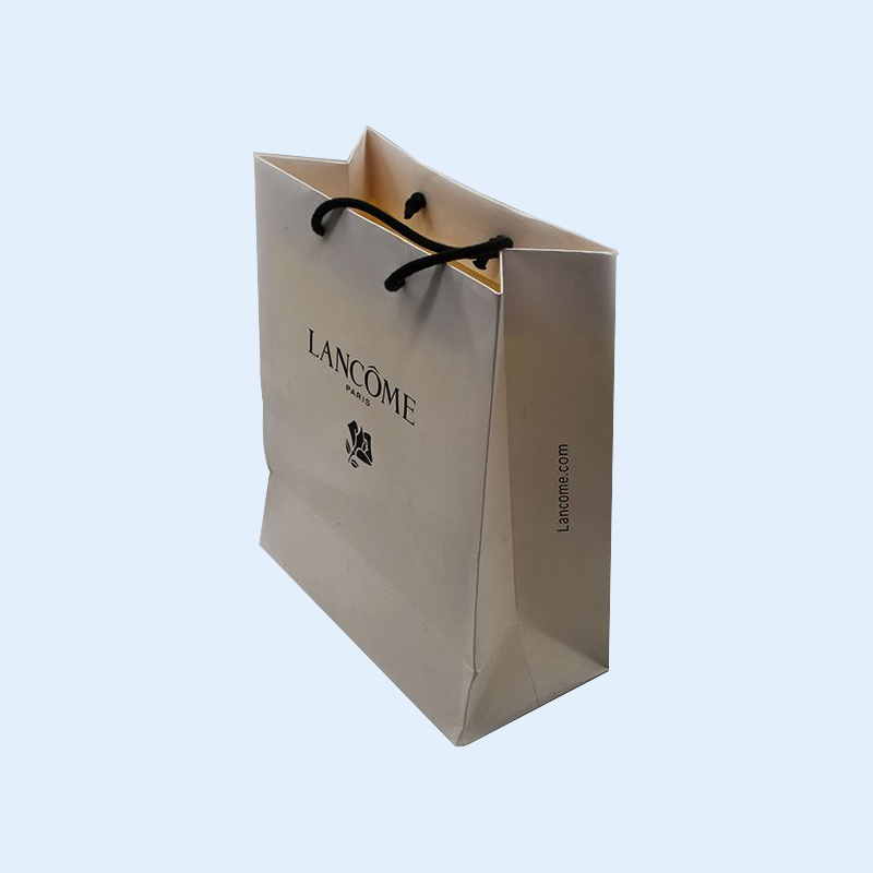Boutique Gift Bag Small Quantity Custom Packaging Paper Bag
