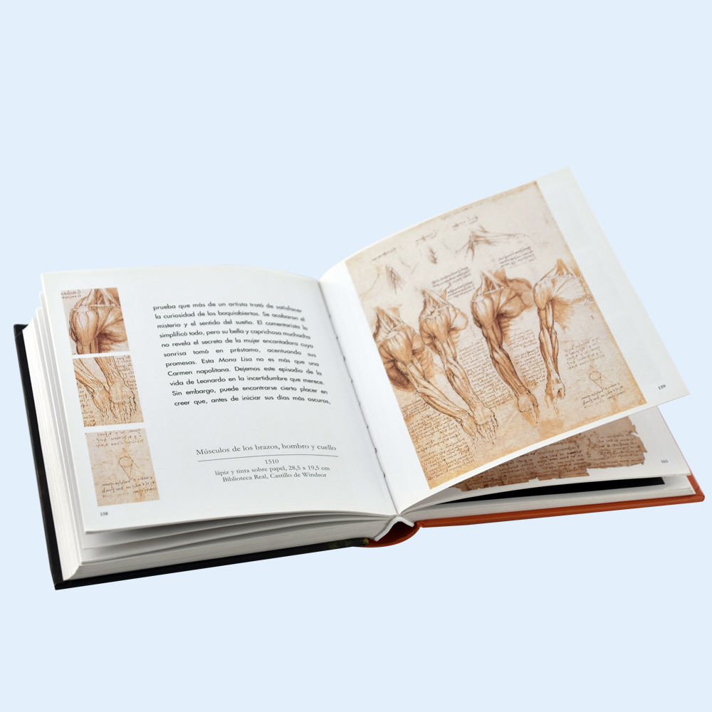 Popular Color Printing Hardcover Bible Book with Customized Logo