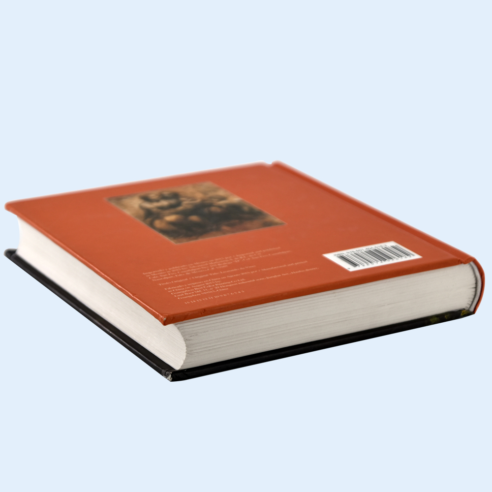 Popular Color Printing Hardcover Bible Book with Customized Logo