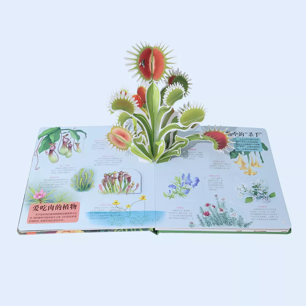 Professional Custom Pop up 3D Book for Plant