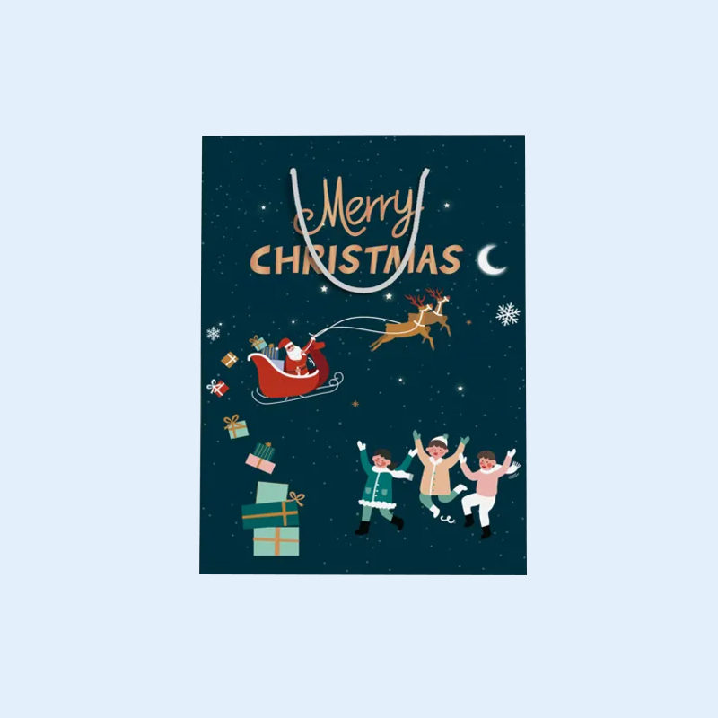 Popular High Quality Custom Color Printing Kraft Paper Holiday Gift Bags