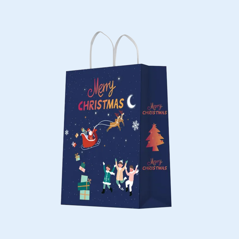 Popular High Quality Custom Color Printing Kraft Paper Holiday Gift Bags