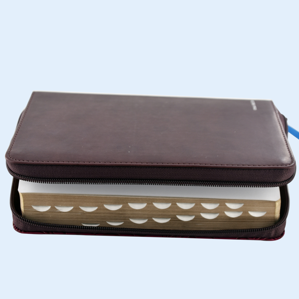 English, Spanish Version for Kids with PU Zipper Bag and Handle for Carry