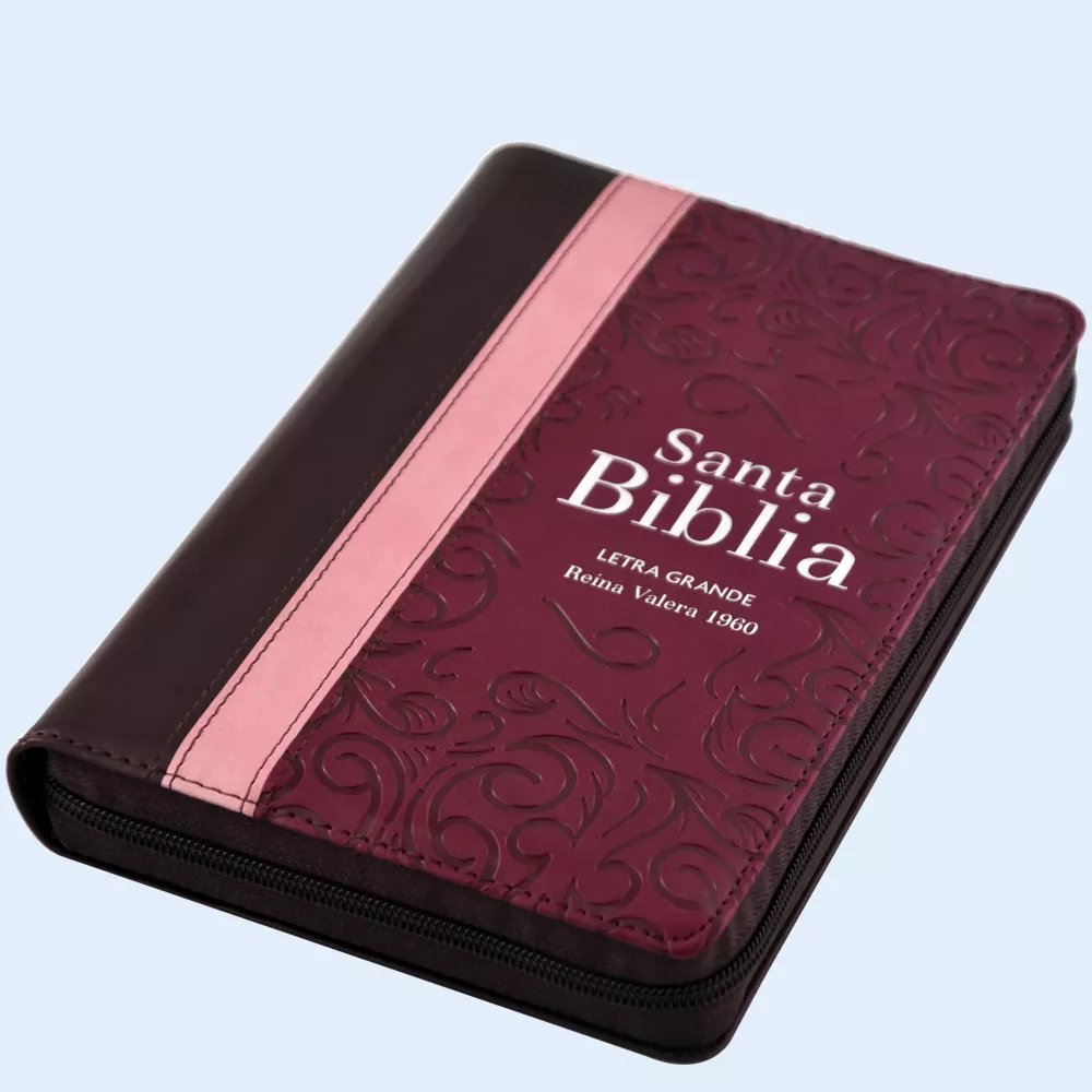 English, Spanish Version for Kids with PU Zipper Bag and Handle for Carry