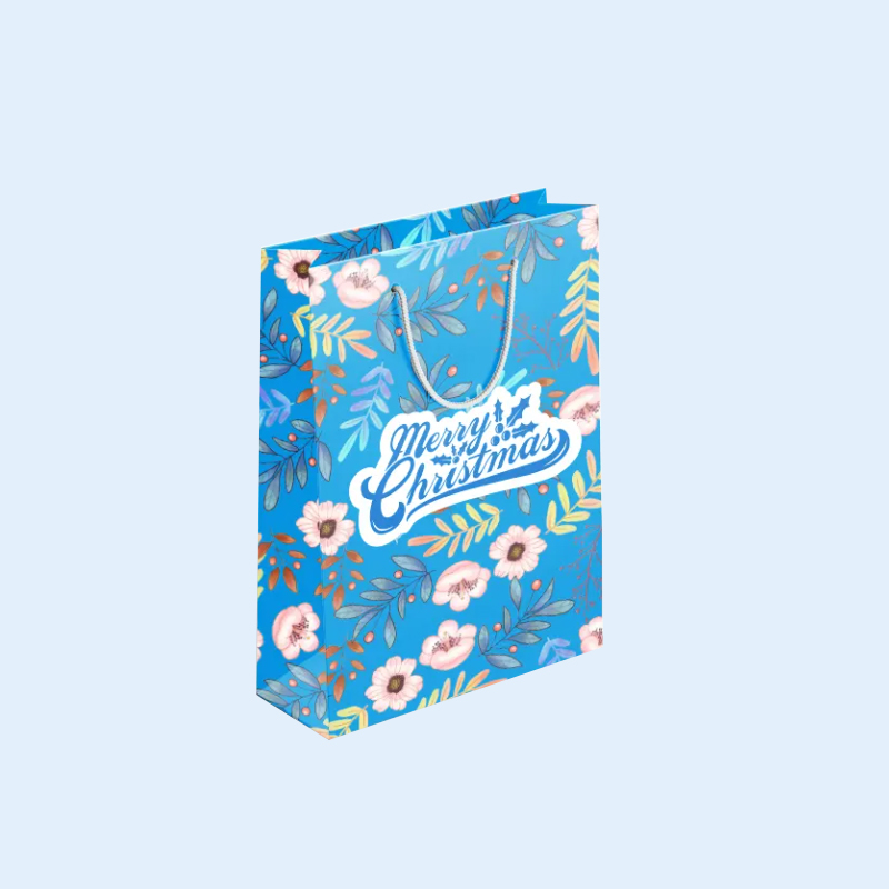Gift Paper Shopping Bag Packaging Wholesale Paper Bags With logo