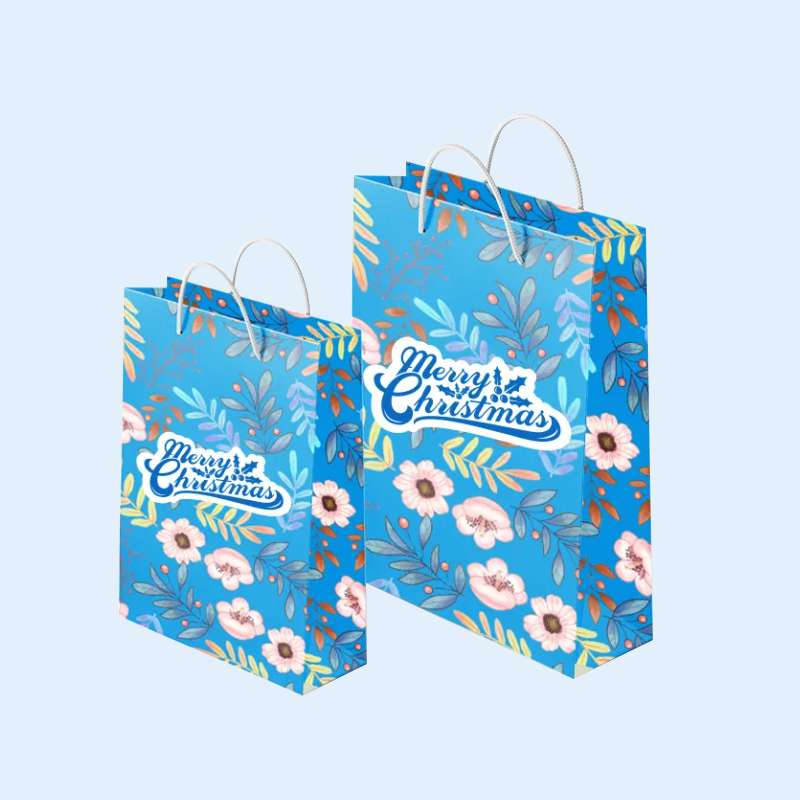 Gift Paper Shopping Bag Packaging Wholesale Paper Bags With logo