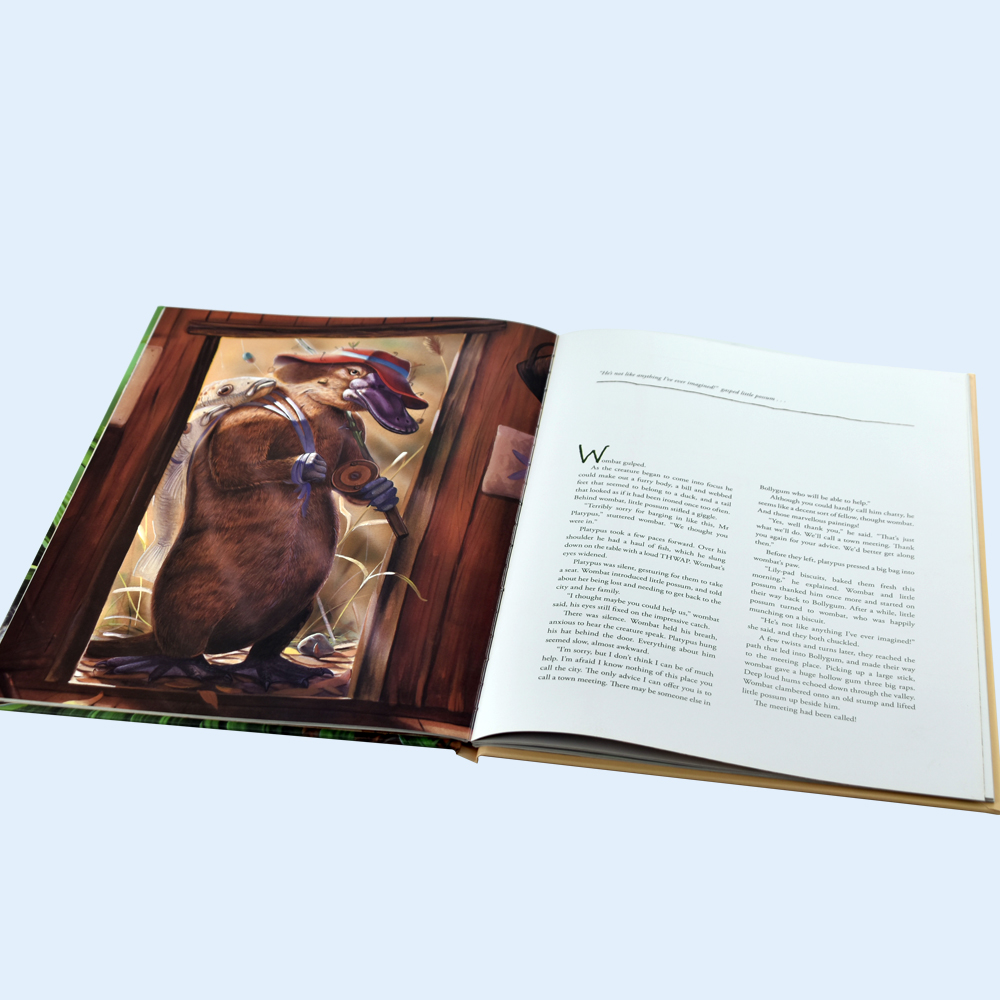 Customized Colorful Hardcover Story Book