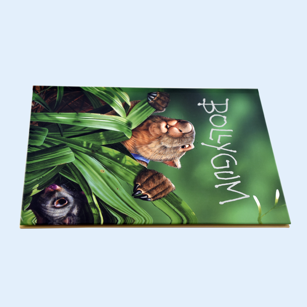 Customized Colorful Hardcover Story Book