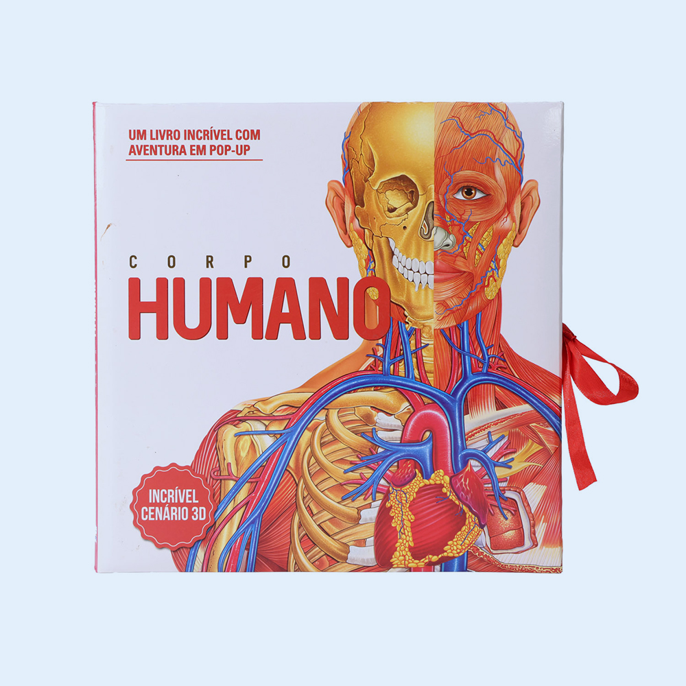 Customized Pop-up Book for Human