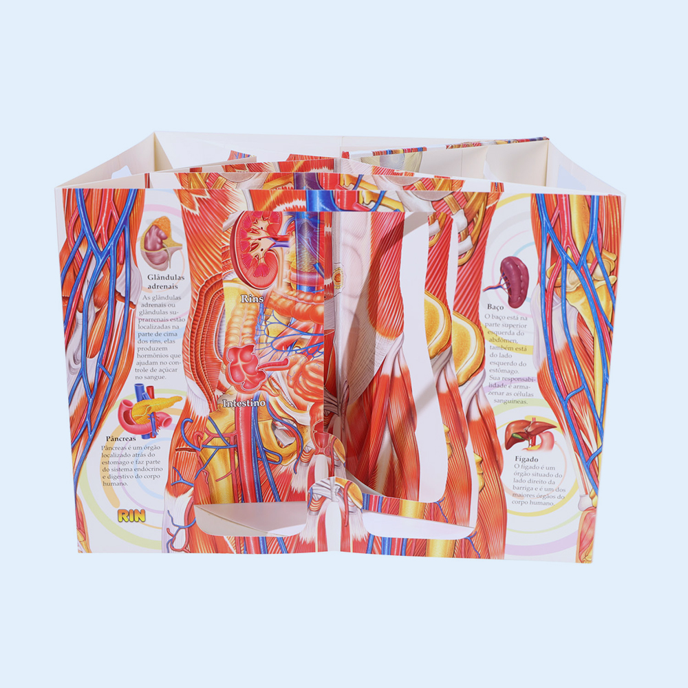 Customized Pop-up Book for Human
