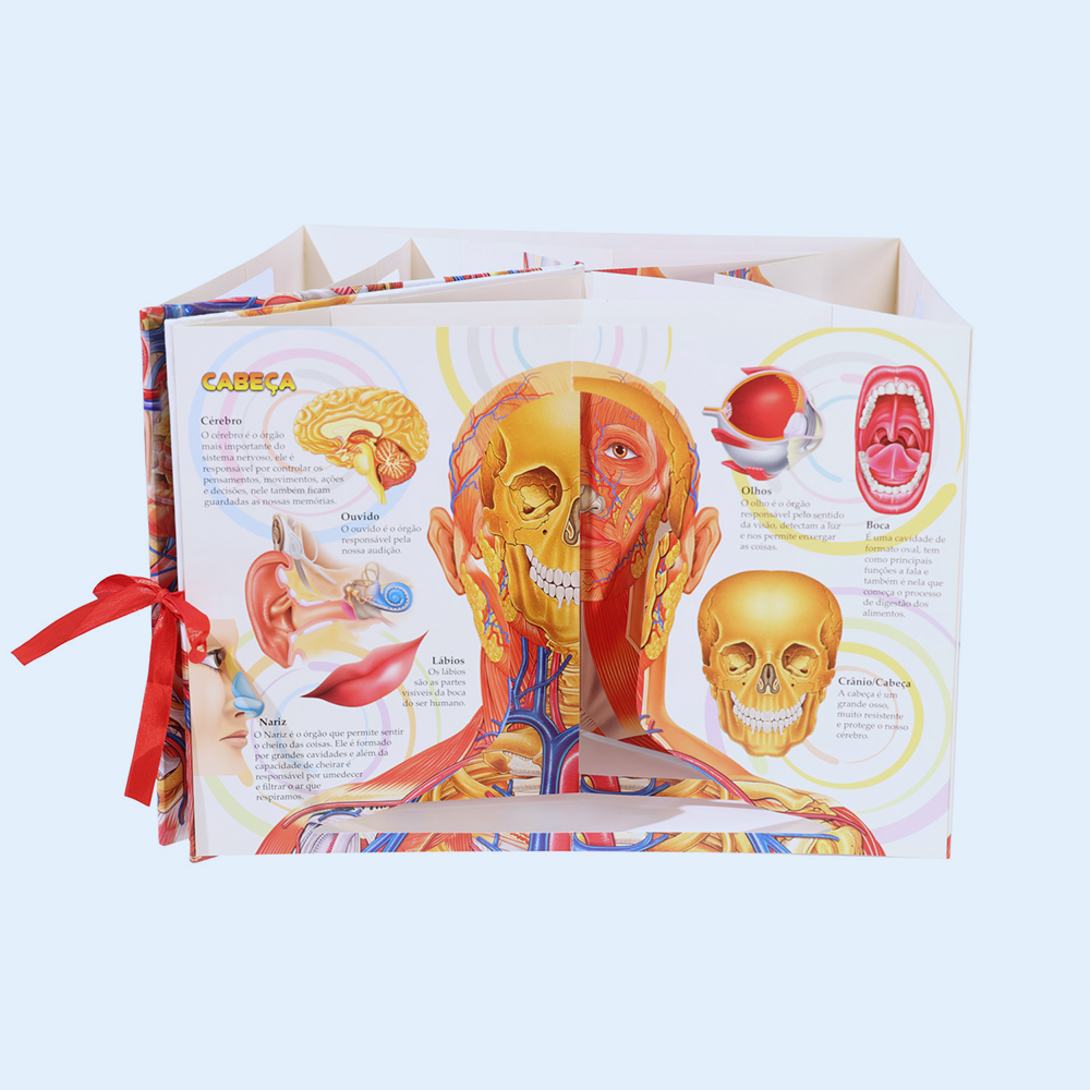 Customized Pop-up Book for Human