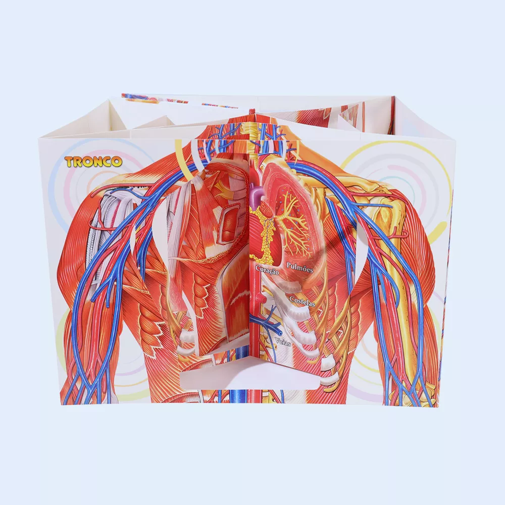 Customized Pop-up Book for Human