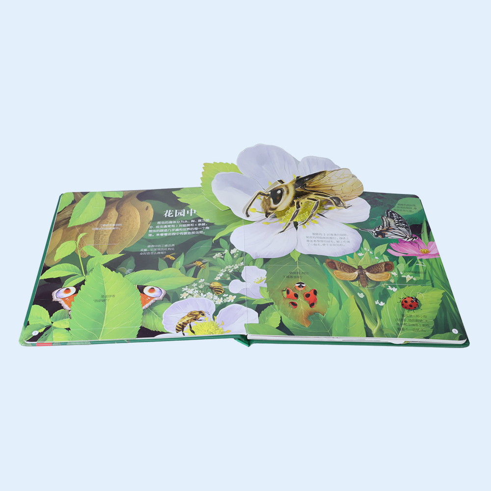 Professional Custom Pop up 3D Book for Insect