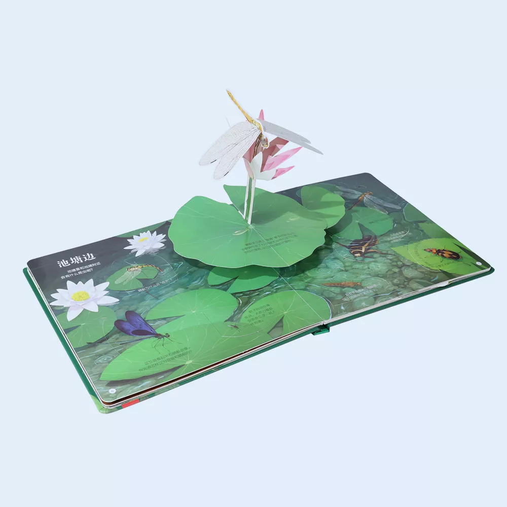 Professional Custom Pop up 3D Book for Insect