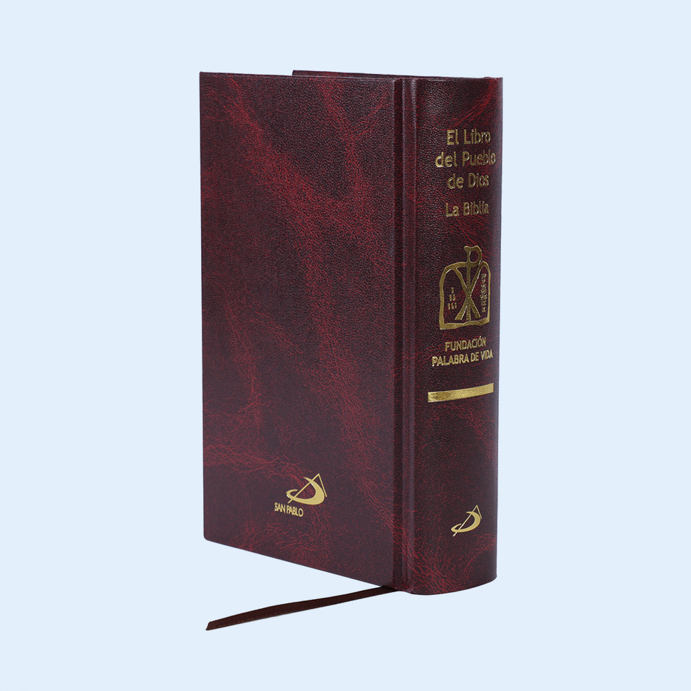 Customized Hardcover English Spanish Catholic Kjv Nlt Version Holly Bibles Book Printing