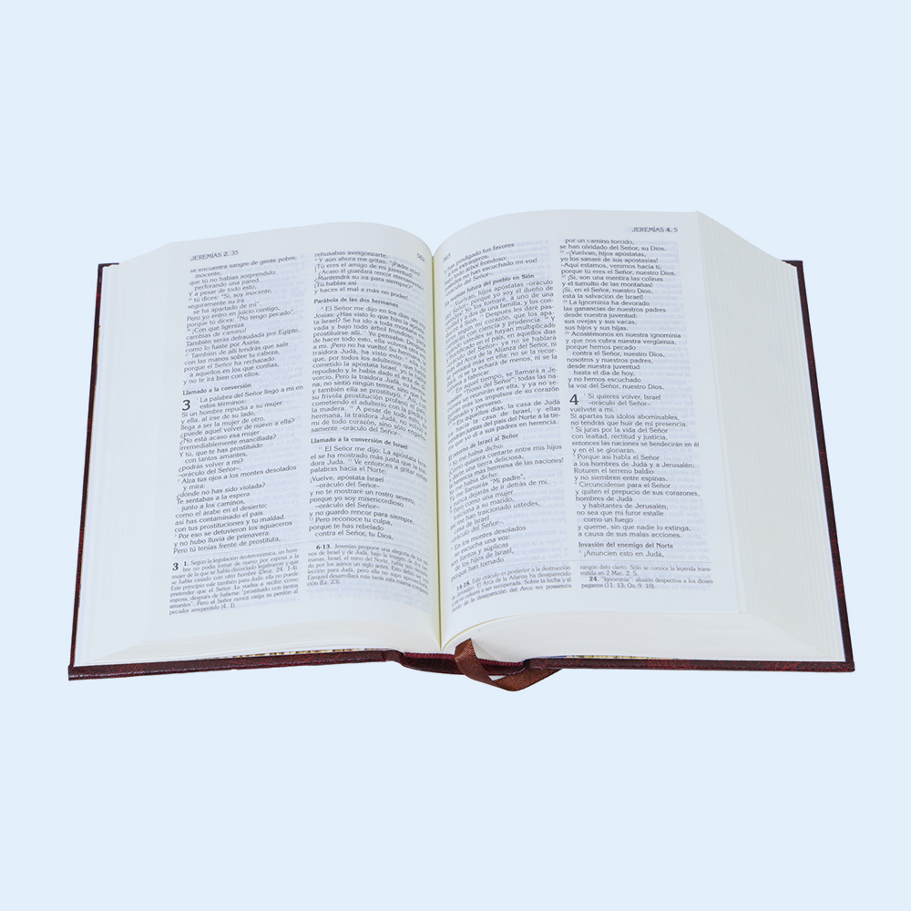 Customized Hardcover English Spanish Catholic Kjv Nlt Version Holly Bibles Book Printing