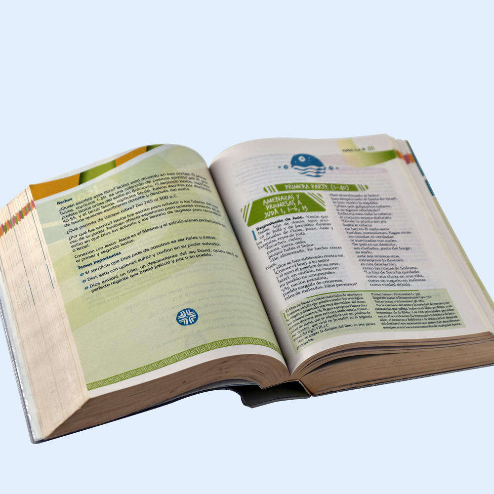 Customized Spanish Children's Bible