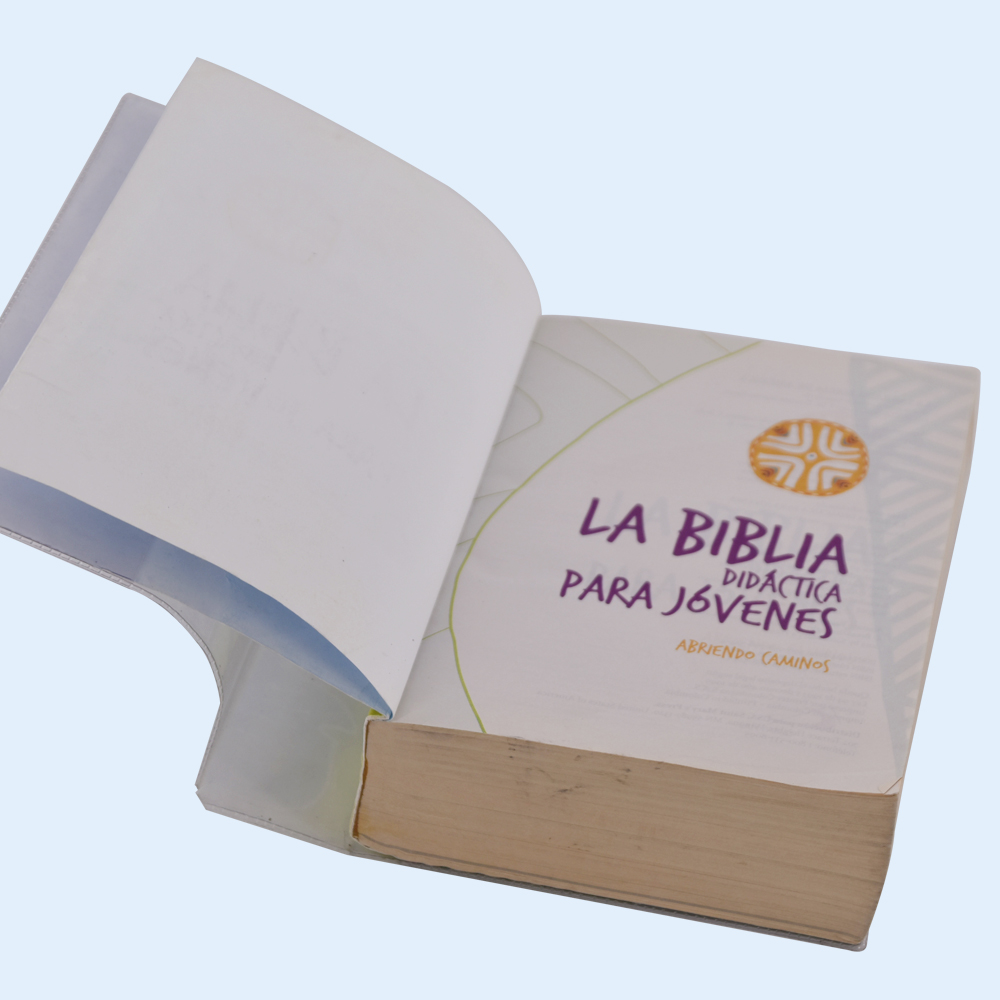 Customized Spanish Children's Bible