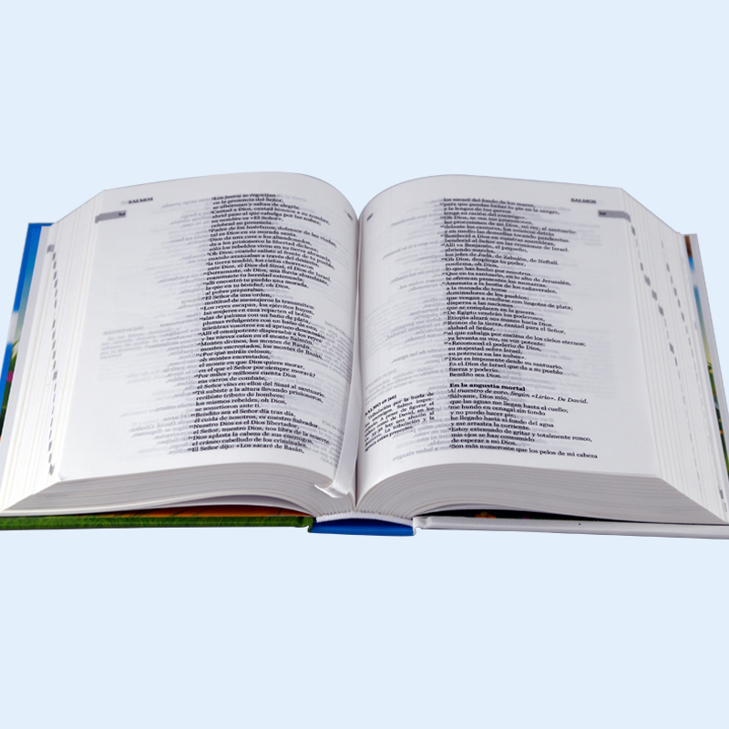 High-End Custom Bible Printing, Gold Gilded Edge Bible for Church & Gifts