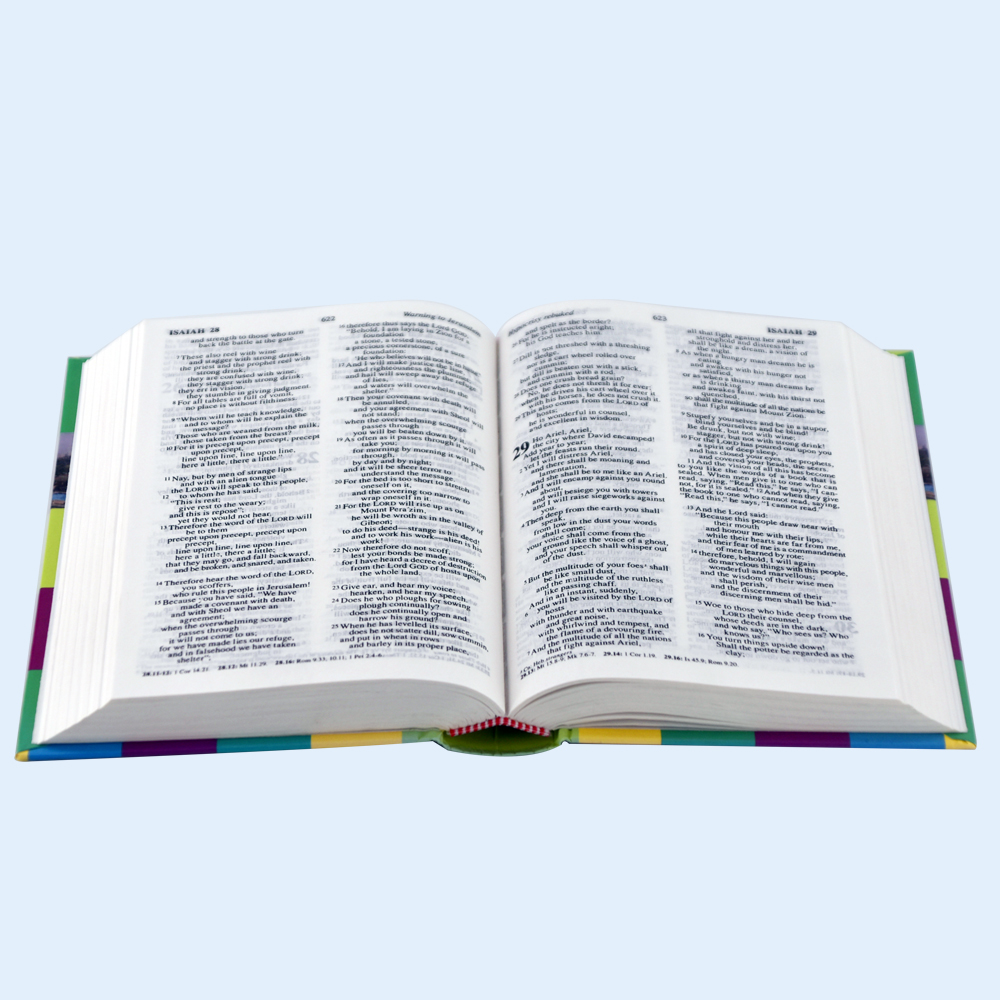 Customize Different Languages, Different Versions of The Bible