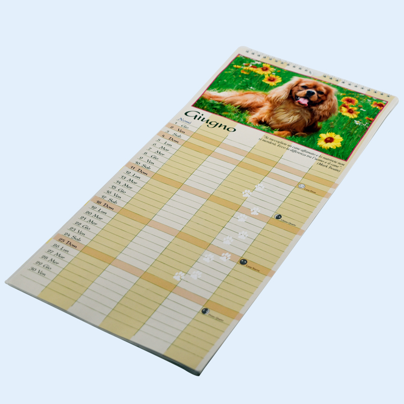 Professional Custom Printing Agenda Yo Binding Wall Calendar