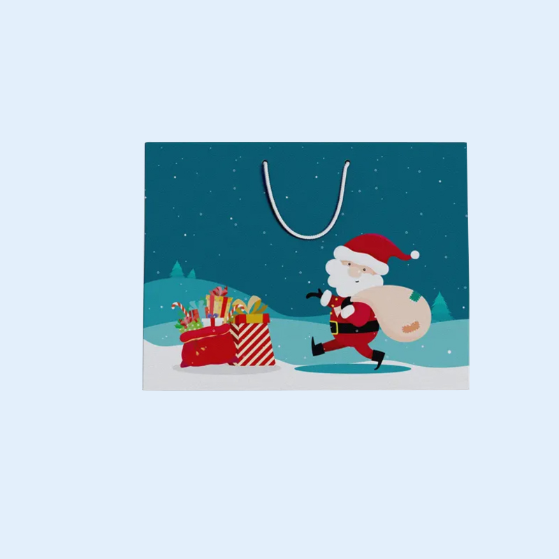 Popular High Quality Custom Color Printing Kraft Paper Christmas Gift Bags